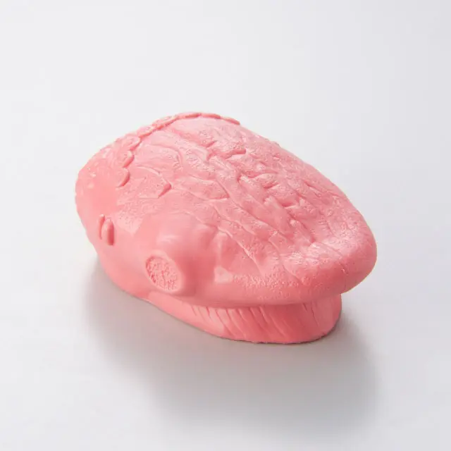 舌癌検診モデル