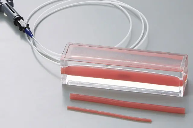 血管・腸管治療機器練習用モデル