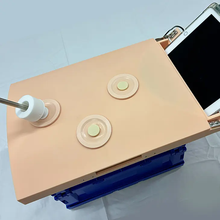 手技訓練用腹腔モデル（EASY）