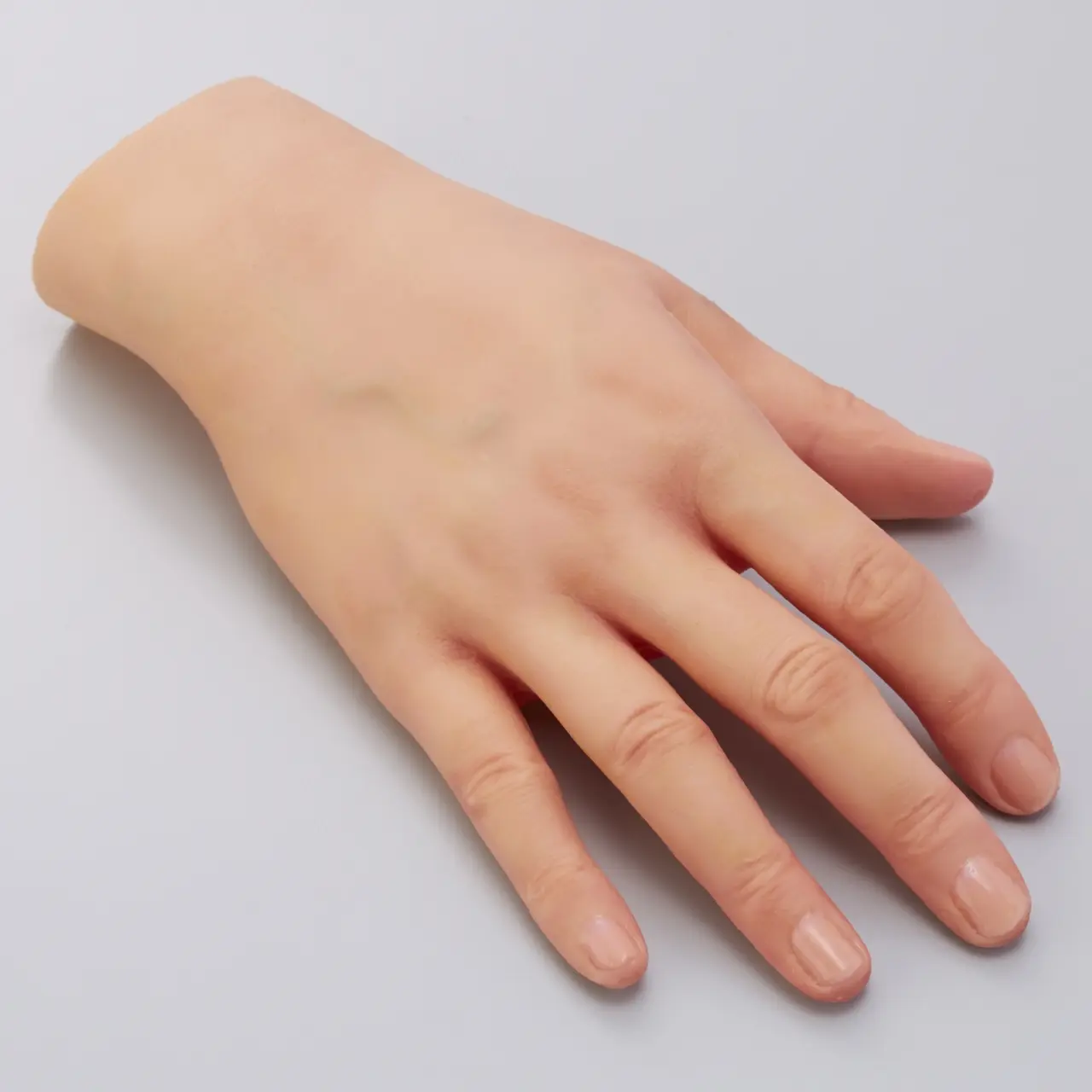 手の甲皮膚モデル